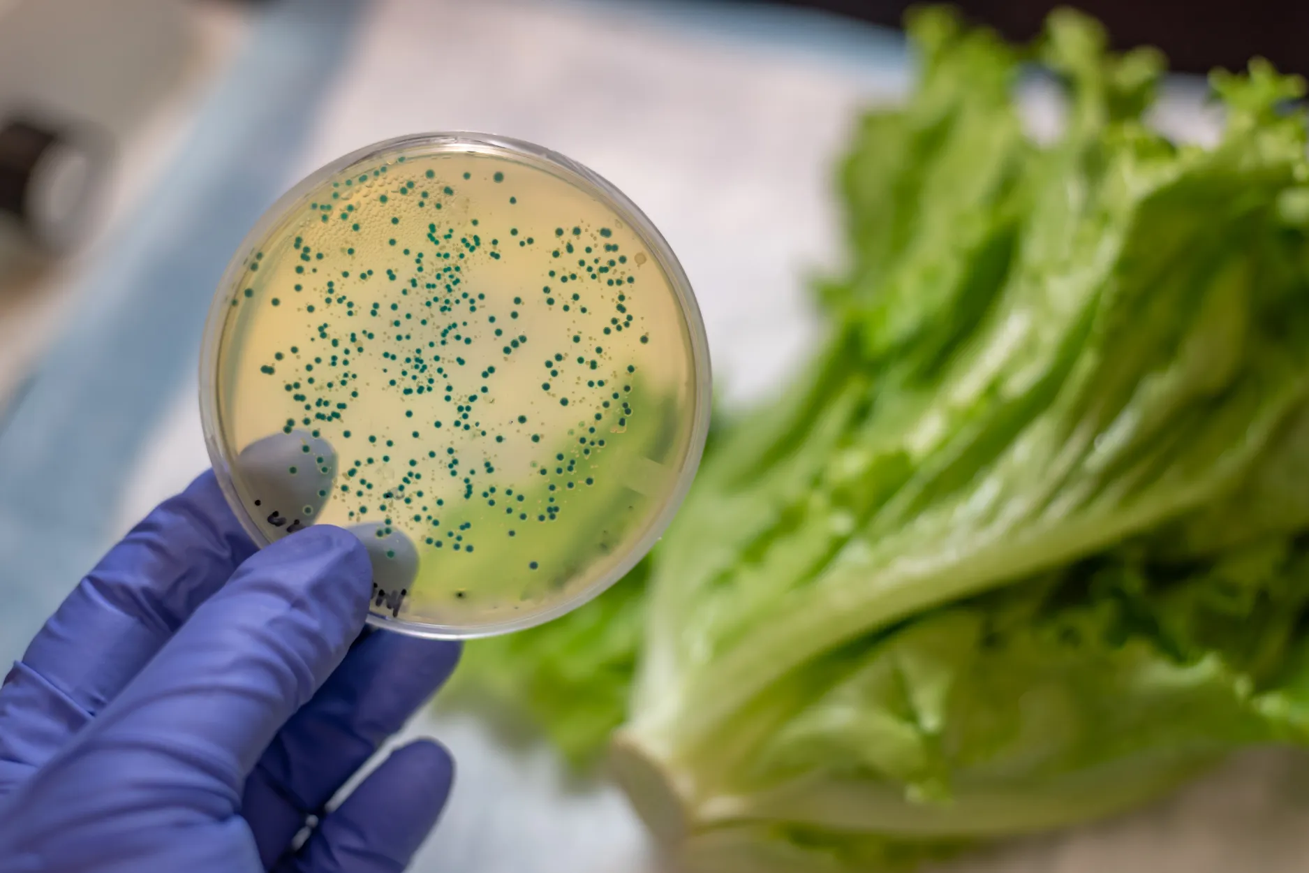 Molecular Research
