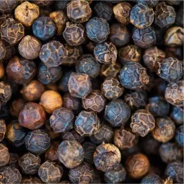 Bioperine (Black Pepper Extract)