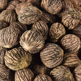 Black Walnut Hull & Seed